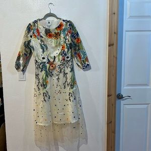Embroidered Spring Dress